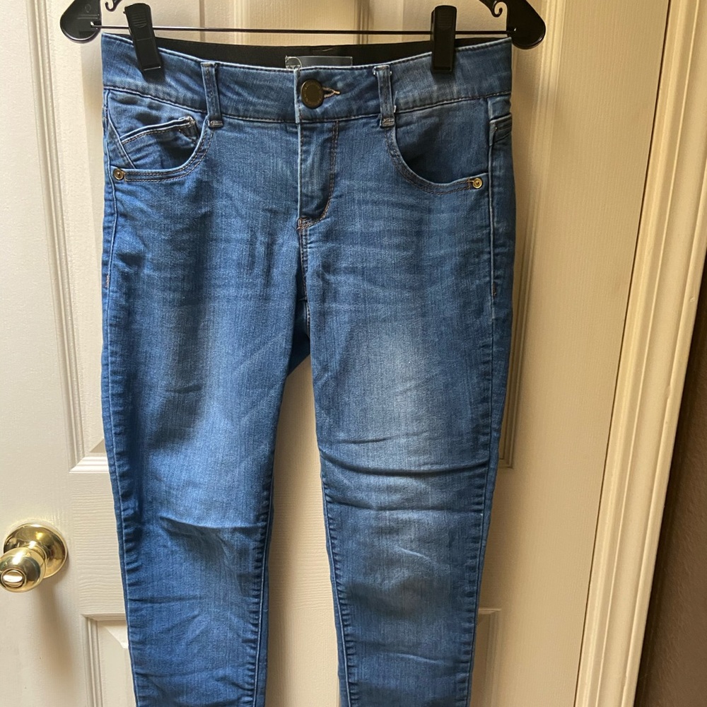 Wit and Wisdom ab solution skinny jeans